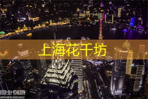 上海会所：融入私人画廊的艺术气息，尽情领略品味与独特魅力的结
