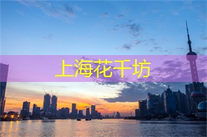 亲历精彩的孔子学院夜游体验
